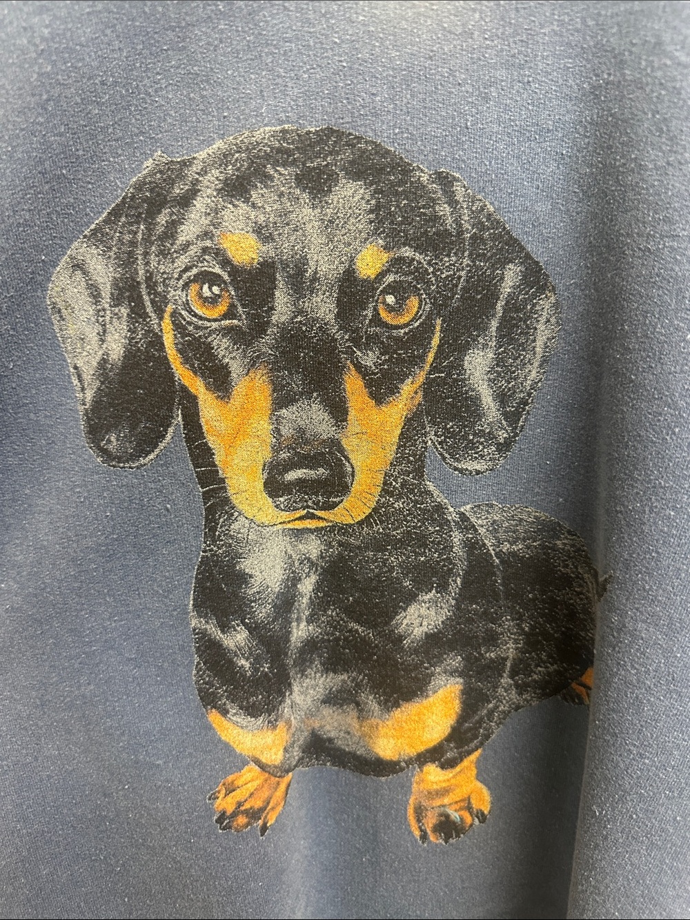 NWT By Anthropologie Dashhound Sweatshirt - Picture 3 of 3